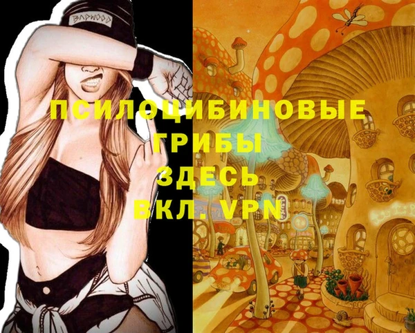 тгк Алзамай
