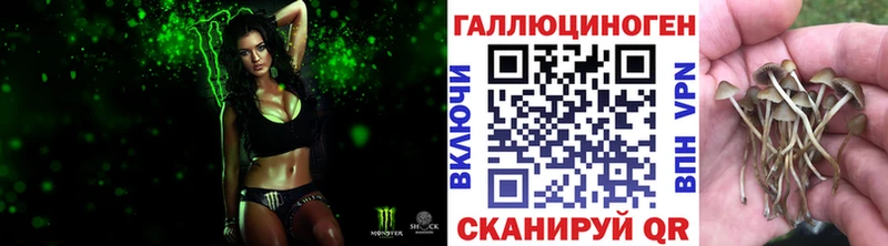 Псилоцибиновые грибы MAGIC MUSHROOMS  Усолье-Сибирское 