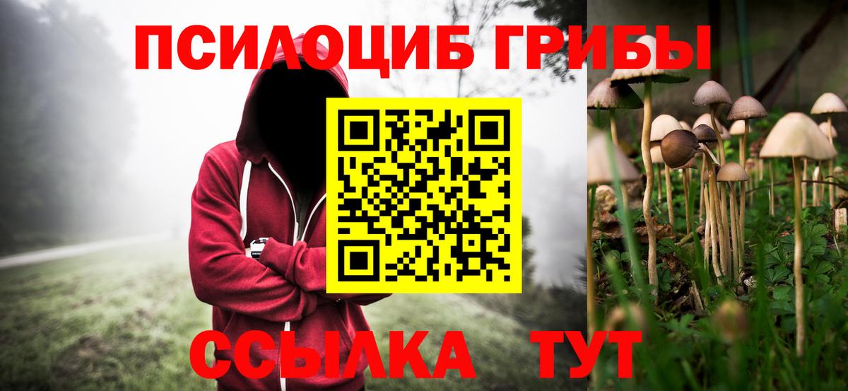 Галлюциногенные грибы Psilocybine cubensis Усолье-Сибирское