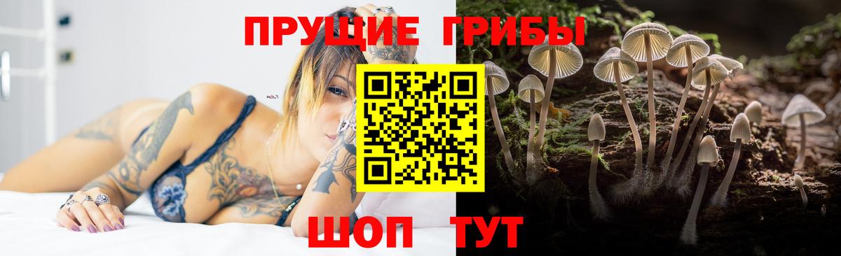 Усолье-Сибирское  Галлюциногенные грибы MAGIC MUSHROOMS  Вход с VPN 